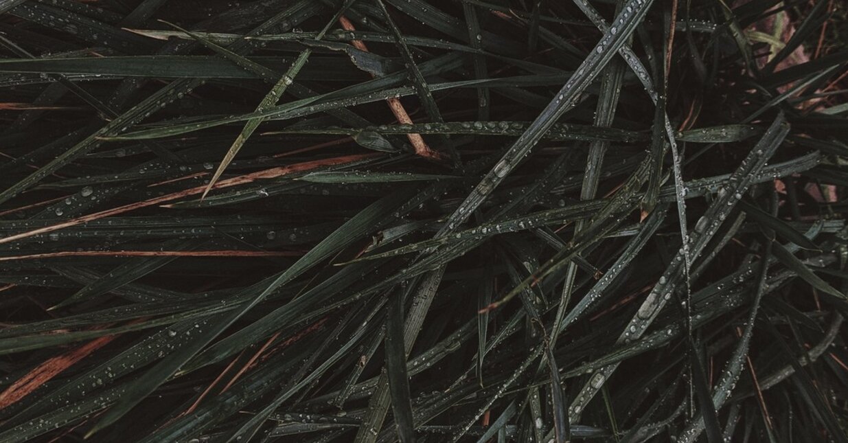 Jose Manuel Bolieiro, Presidente do Municipio de Ponta Delgada, apresentacao portal turismo BTL 2019