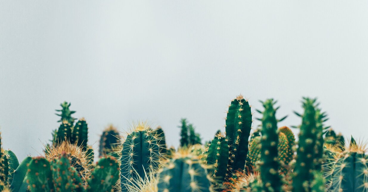 18-workshop-CA-wiremaze (3)