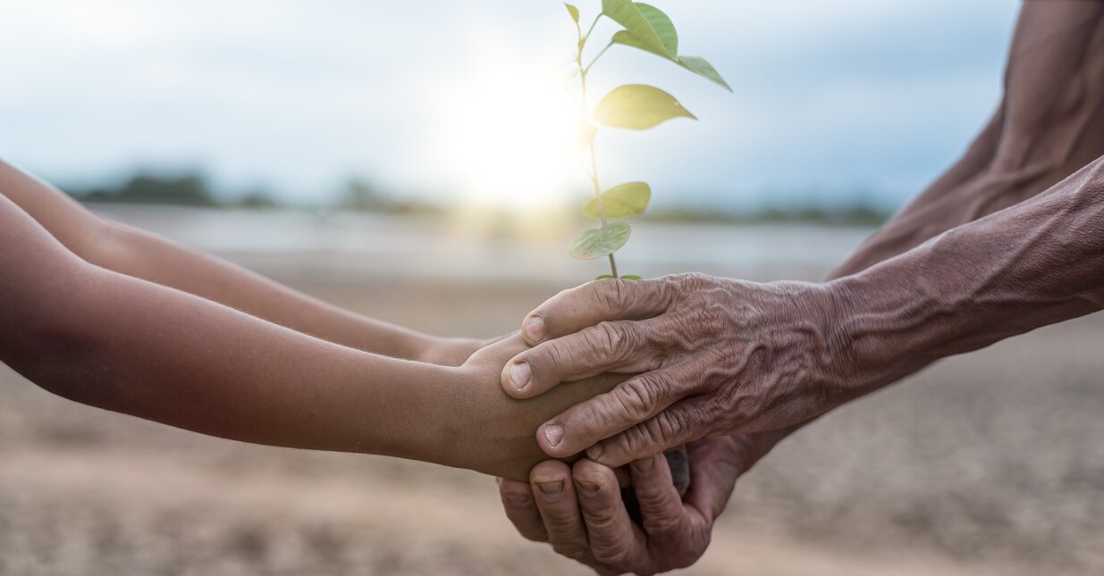 Duas pessoas a segurar num ramo com folhas